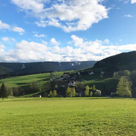Ferienhaus Robin Titisee-Neustadt Esterno foto