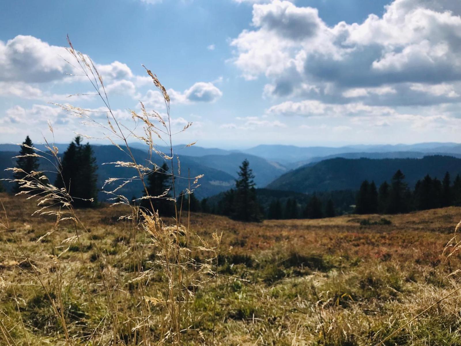 Ferienhaus Robin Titisee-Neustadt Esterno foto