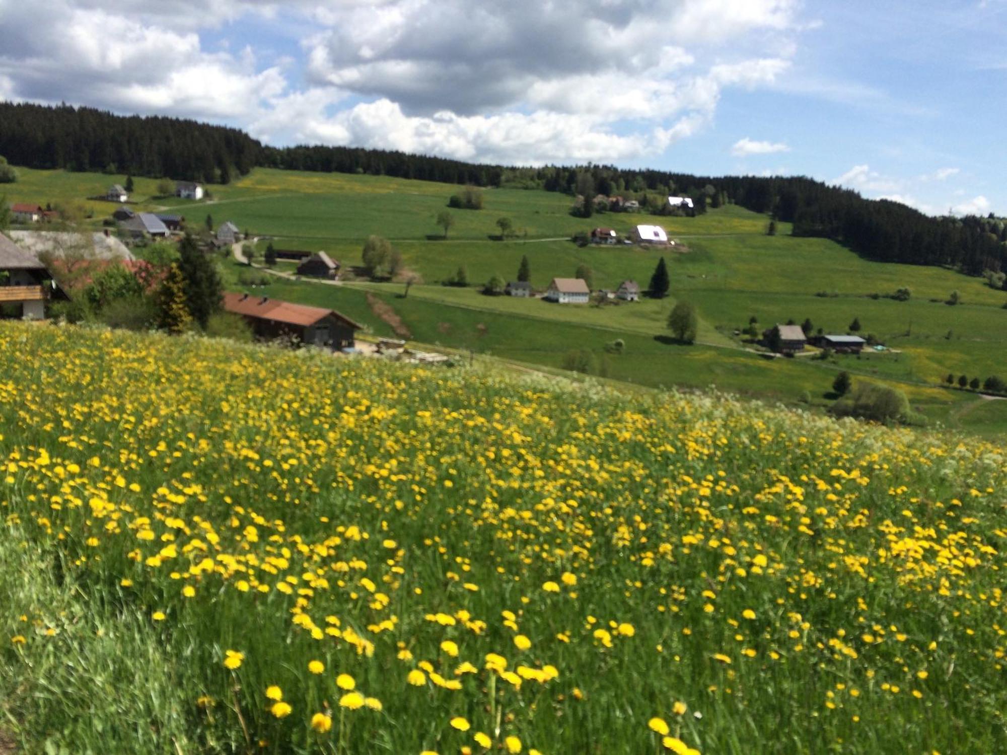 Ferienhaus Robin Titisee-Neustadt Esterno foto